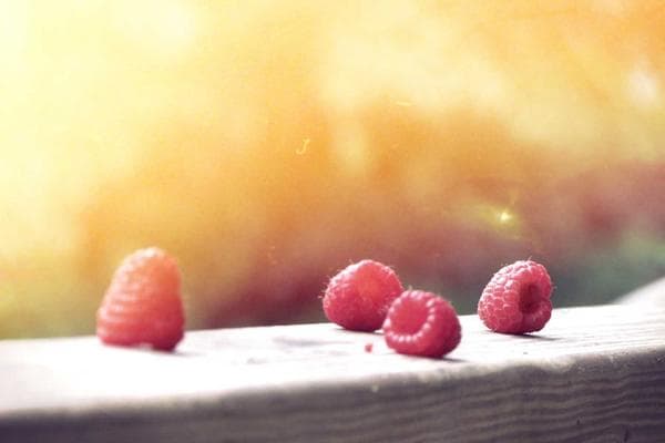 El Acero en 2026: Innovación, Sostenibilidad y Resiliencia en la Construcción Estructural